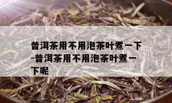 普洱茶用不用泡茶叶煮一下-普洱茶用不用泡茶叶煮一下呢