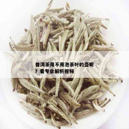 普洱茶用不用泡茶叶的壶呢？看专业解析视频