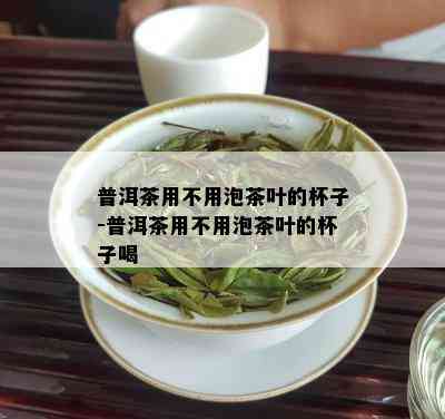 普洱茶用不用泡茶叶的杯子-普洱茶用不用泡茶叶的杯子喝