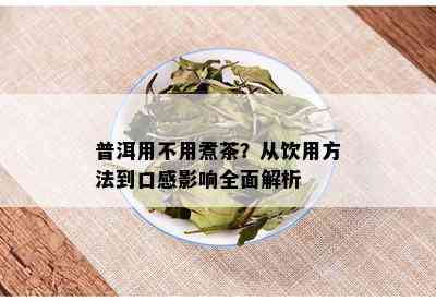 普洱用不用煮茶？从饮用方法到口感影响全面解析