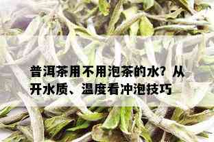 普洱茶用不用泡茶的水？从开水质、温度看冲泡技巧