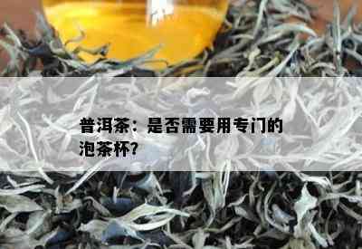 普洱茶：是否需要用专门的泡茶杯？