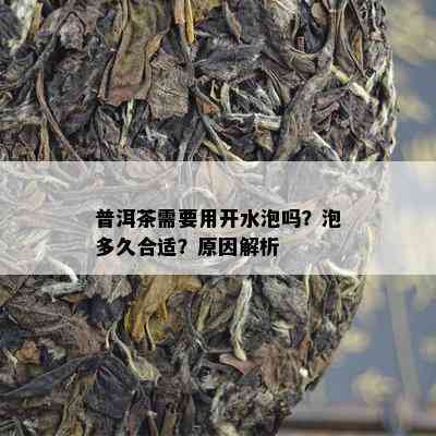 普洱茶需要用开水泡吗？泡多久合适？原因解析