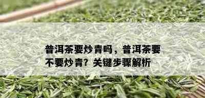 普洱茶要炒青吗，普洱茶要不要炒青？关键步骤解析