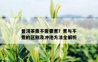 普洱茶需不需要煮？煮与不煮的区别及冲泡方法全解析