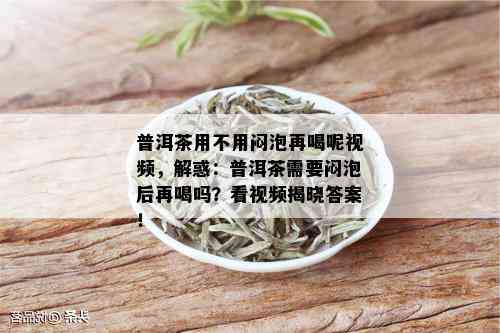 普洱茶用不用闷泡再喝呢视频，解惑：普洱茶需要闷泡后再喝吗？看视频揭晓答案！