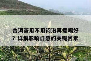 普洱茶用不用闷泡再煮喝好？详解影响口感的关键因素