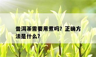 普洱茶需要用煮吗？正确方法是什么？