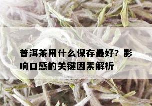 普洱茶用什么保存更好？影响口感的关键因素解析