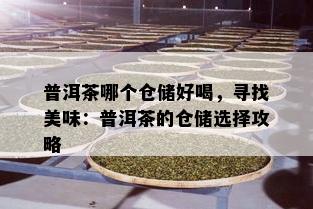 普洱茶哪个仓储好喝，寻找美味：普洱茶的仓储选择攻略