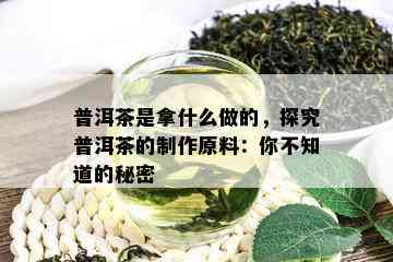 普洱茶是拿什么做的，探究普洱茶的制作原料：你不知道的秘密