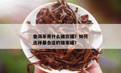 普洱茶用什么储存罐？如何选择最合适的储茶罐？