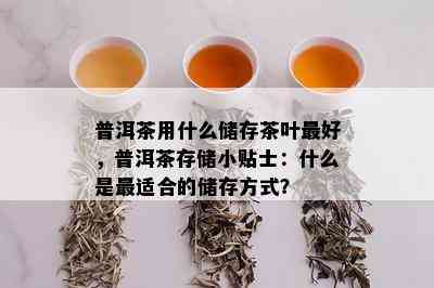 普洱茶用什么储存茶叶更好，普洱茶存储小贴士：什么是最适合的储存方式？