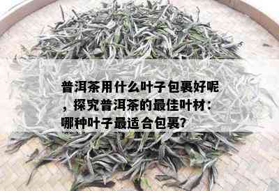 普洱茶用什么叶子包裹好呢，探究普洱茶的更佳叶材：哪种叶子最适合包裹？