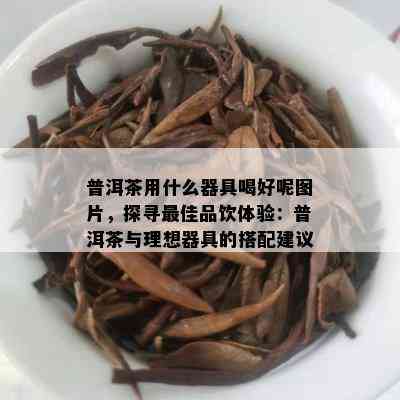 普洱茶用什么器具喝好呢图片，探寻更佳品饮体验：普洱茶与理想器具的搭配建议