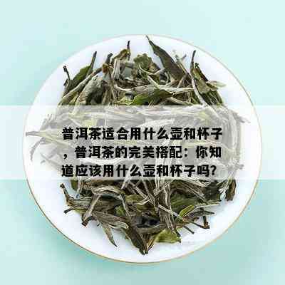 普洱茶适合用什么壶和杯子，普洱茶的完美搭配：你知道应该用什么壶和杯子吗？