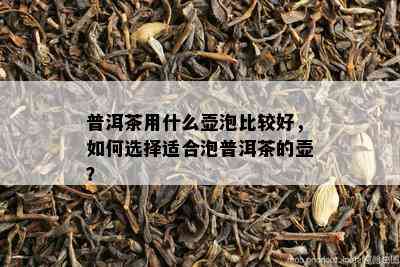 普洱茶用什么壶泡比较好，如何选择适合泡普洱茶的壶？