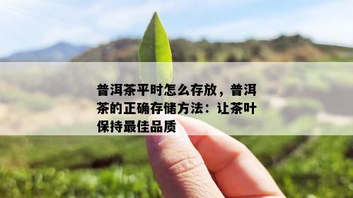 普洱茶平时怎么存放，普洱茶的正确存储方法：让茶叶保持更佳品质