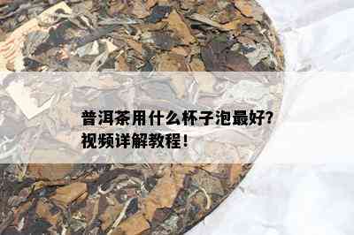 普洱茶用什么杯子泡更好？视频详解教程！