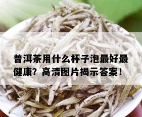 普洱茶用什么杯子泡更好最健康？高清图片揭示答案！