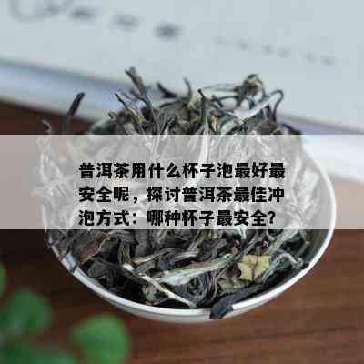 普洱茶用什么杯子泡更好最安全呢，探讨普洱茶更佳冲泡方式：哪种杯子最安全？