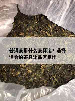 普洱茶用什么茶杯泡？选择适合的茶具让品茗更佳