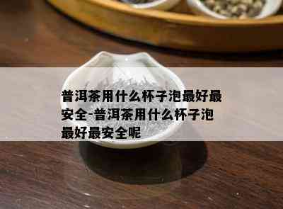 普洱茶用什么杯子泡更好最安全-普洱茶用什么杯子泡更好最安全呢