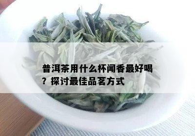 普洱茶用什么杯闻香更好喝？探讨更佳品茗方式