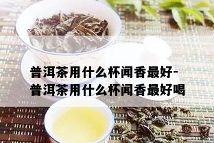 普洱茶用什么杯闻香更好-普洱茶用什么杯闻香更好喝