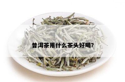 普洱茶用什么茶头好喝？