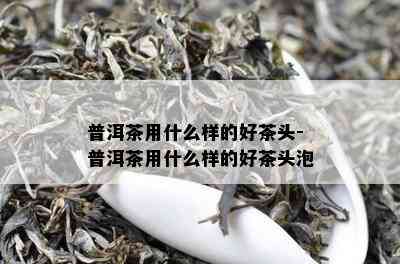 普洱茶用什么样的好茶头-普洱茶用什么样的好茶头泡