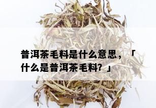 普洱茶毛料是什么意思，「什么是普洱茶毛料？」