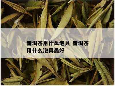 普洱茶用什么泡具-普洱茶用什么泡具更好