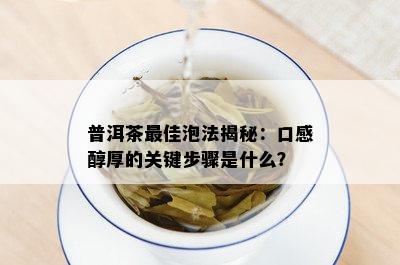 普洱茶更佳泡法揭秘：口感醇厚的关键步骤是什么？