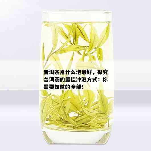 普洱茶用什么泡更好，探究普洱茶的更佳冲泡方式：你需要知道的全部！