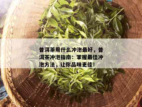 普洱茶用什么冲泡更好，普洱茶冲泡指南：掌握更佳冲泡方法，让你品味更佳！