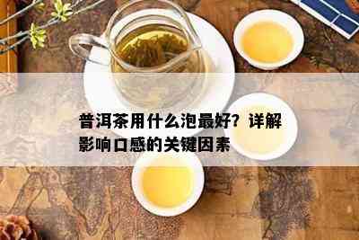 普洱茶用什么泡更好？详解影响口感的关键因素