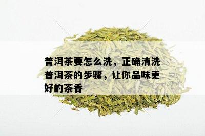 普洱茶要怎么洗，正确清洗普洱茶的步骤，让你品味更好的茶香