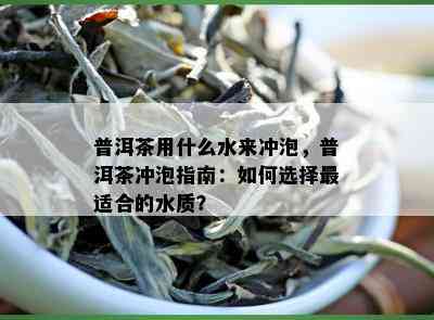 普洱茶用什么水来冲泡，普洱茶冲泡指南：如何选择最适合的水质？