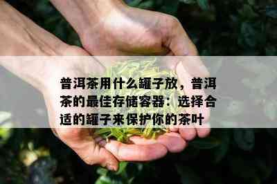 普洱茶用什么罐子放，普洱茶的更佳存储容器：选择合适的罐子来保护你的茶叶