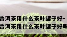 普洱茶用什么茶叶罐子好-普洱茶用什么茶叶罐子好喝