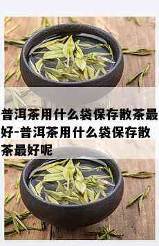 普洱茶用什么袋保存散茶更好-普洱茶用什么袋保存散茶更好呢