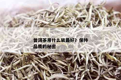 普洱茶用什么装更好？保持品质的秘密