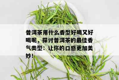 普洱茶用什么香型好喝又好喝呢，探讨普洱茶的更佳香气类型：让你的口感更加美妙！