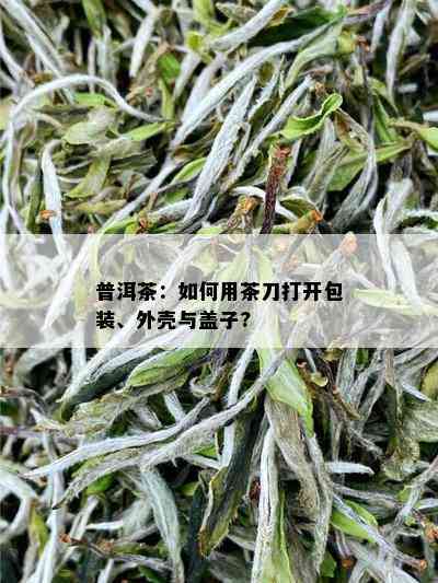 普洱茶：如何用茶刀打开包装、外壳与盖子?