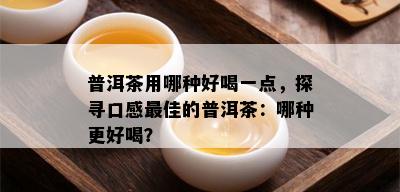 普洱茶用哪种好喝一点，探寻口感更佳的普洱茶：哪种更好喝？