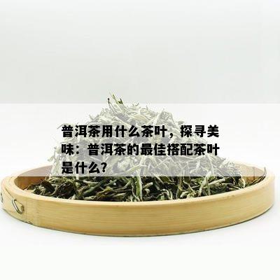 普洱茶用什么茶叶，探寻美味：普洱茶的更佳搭配茶叶是什么？