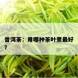 普洱茶：用哪种茶叶煮更好？