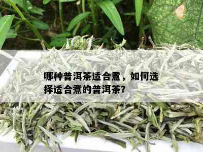 哪种普洱茶适合煮，如何选择适合煮的普洱茶？