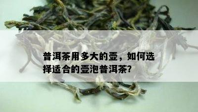 普洱茶用多大的壶，如何选择适合的壶泡普洱茶？